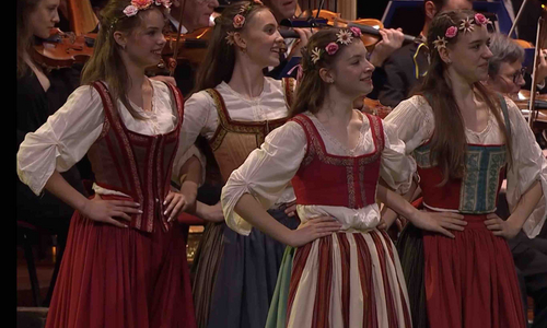 Online Market Screening ‘Scandinavian Summer Nights´