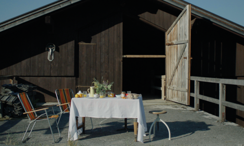 Online Market Screening ‘Idyll´